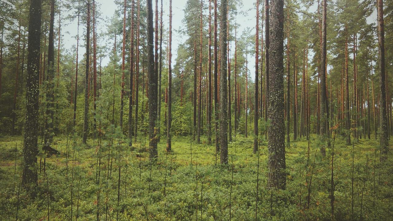 体育赛事现场的商务场景